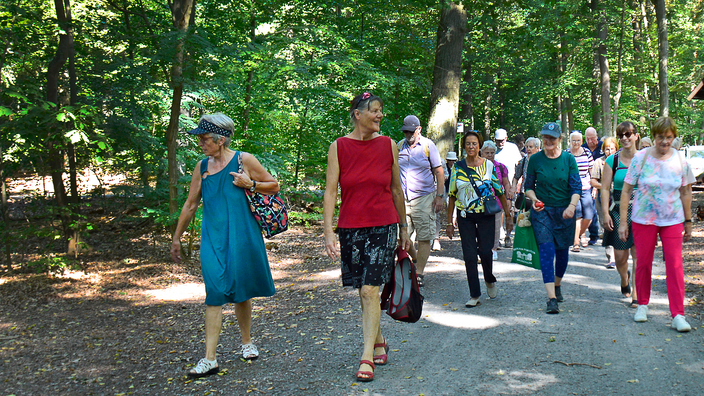 Foto: Eine gemischte Gruppe beim Spaziergang im Wald