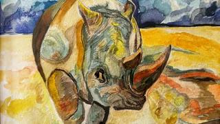 Grafik: Ein gemaltes Aquarell von einem Nashorns