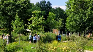 Foto: Eine gemischte Gruppe in dichter Vegetation des Britzer Waldgartens